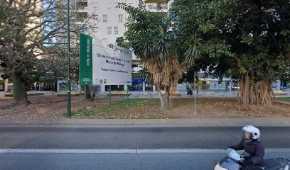 CLINICA DENTAL. Dr. JORGE ALOT MONTESfoto