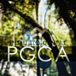 Clínica Dental PGCA - Perera, García de Castro y Asociadosfoto